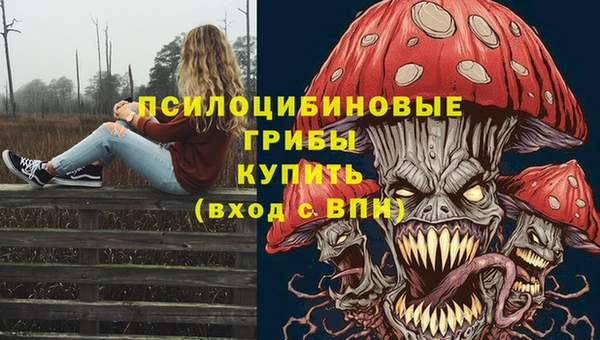 Альфа ПВП Протвино