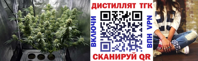 Дистиллят ТГК концентрат  Лесосибирск 