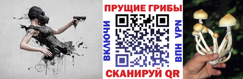 Псилоцибиновые грибы ЛСД  где можно купить   Лесосибирск 